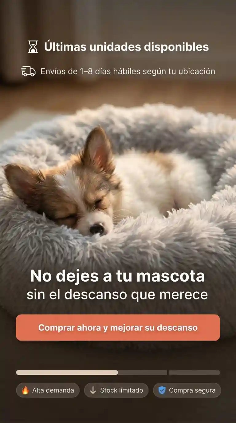 La mejor cama para tu mascota