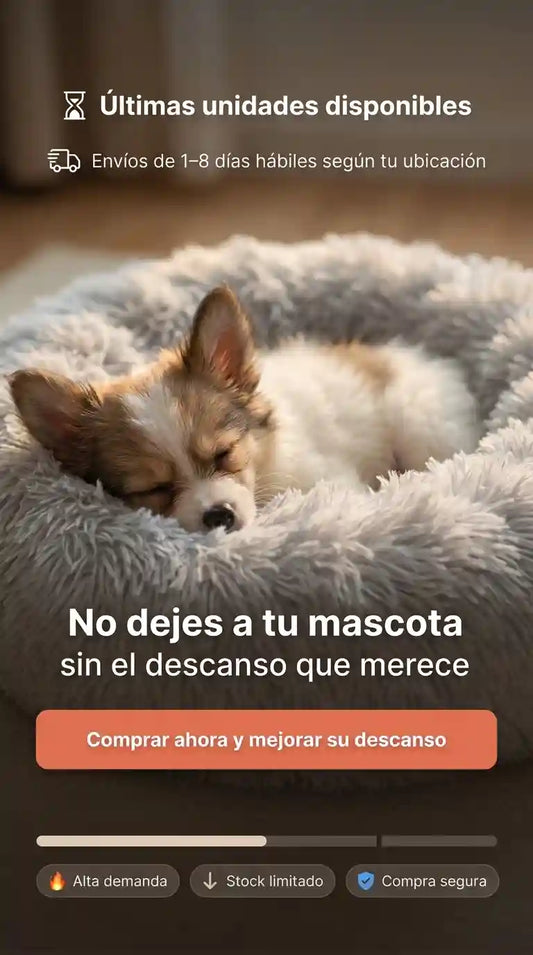 La mejor cama para tu mascota