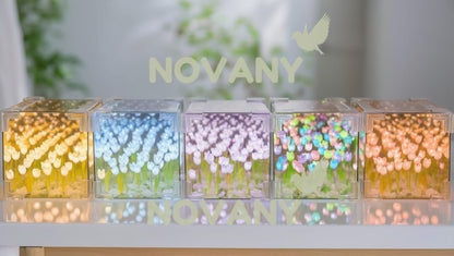 El Regalo Que Nunca Marchita